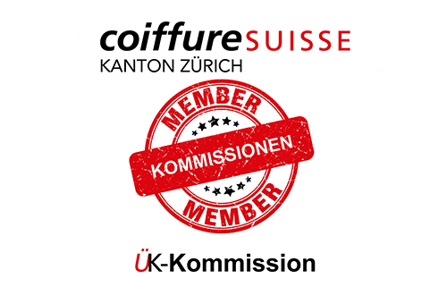 Bild-UK-kommission